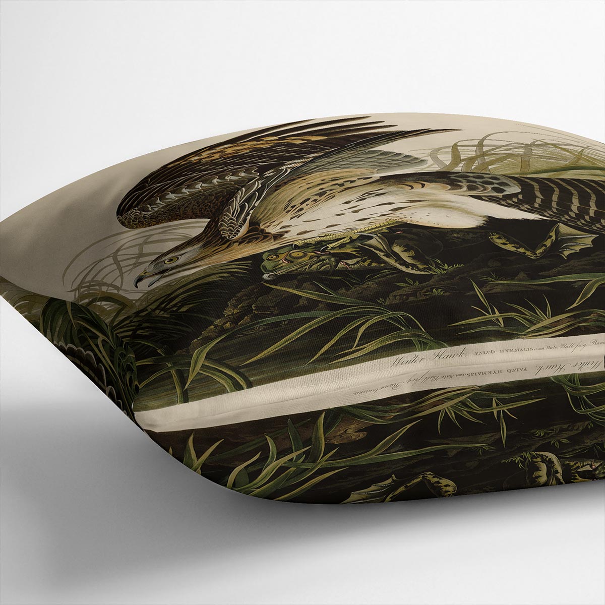 Winter Hawk by Audubon Cushion
