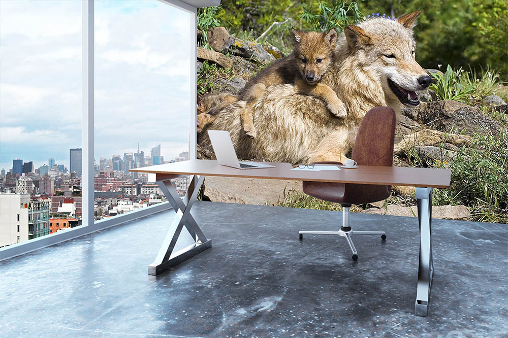 Wolf cubs and mother at den site Wall Mural Wallpaper - Canvas Art Rocks - 3