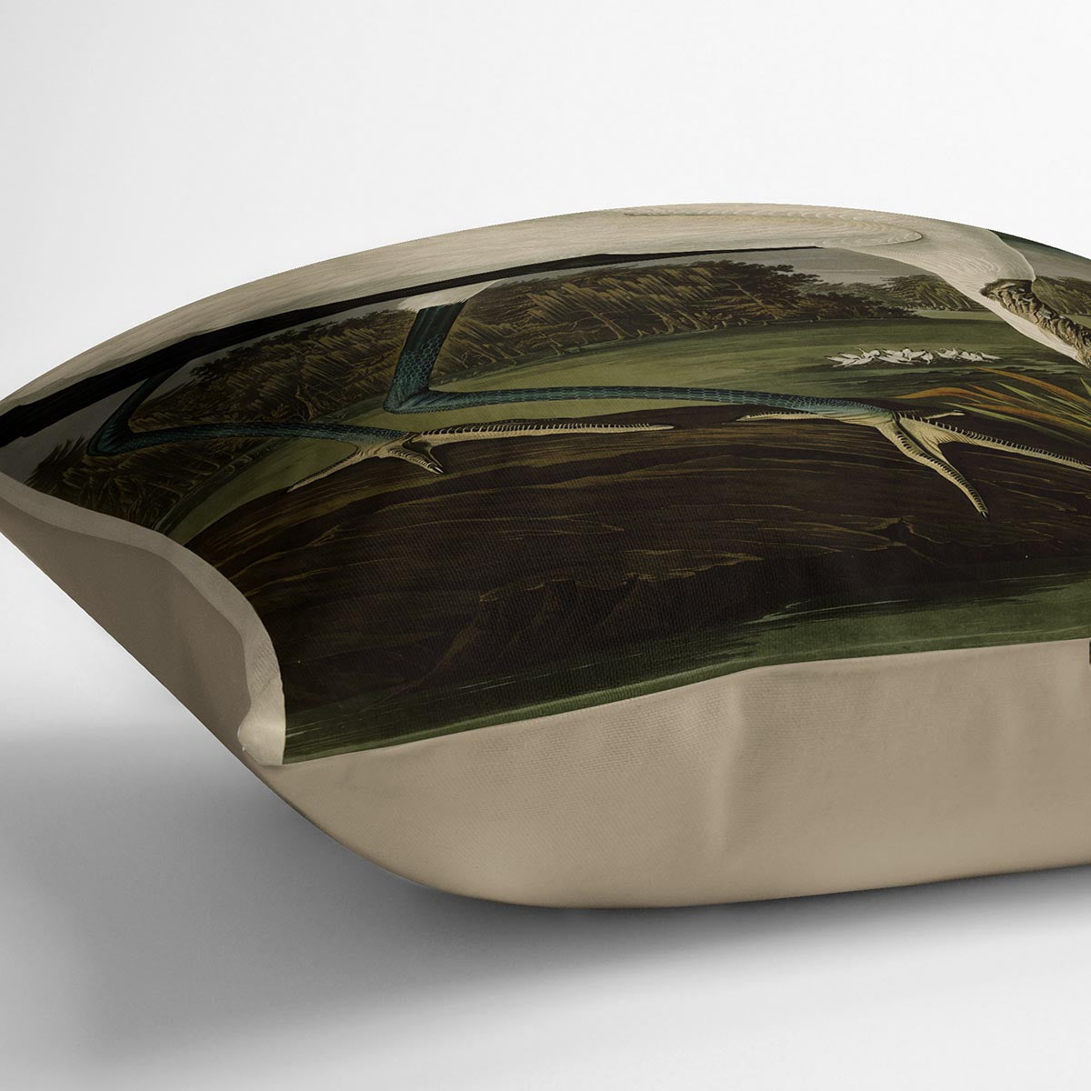 Wood Ibiss by Audubon Cushion