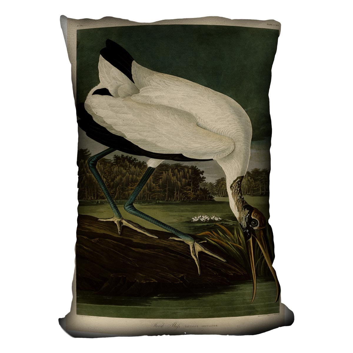 Wood Ibiss by Audubon Cushion