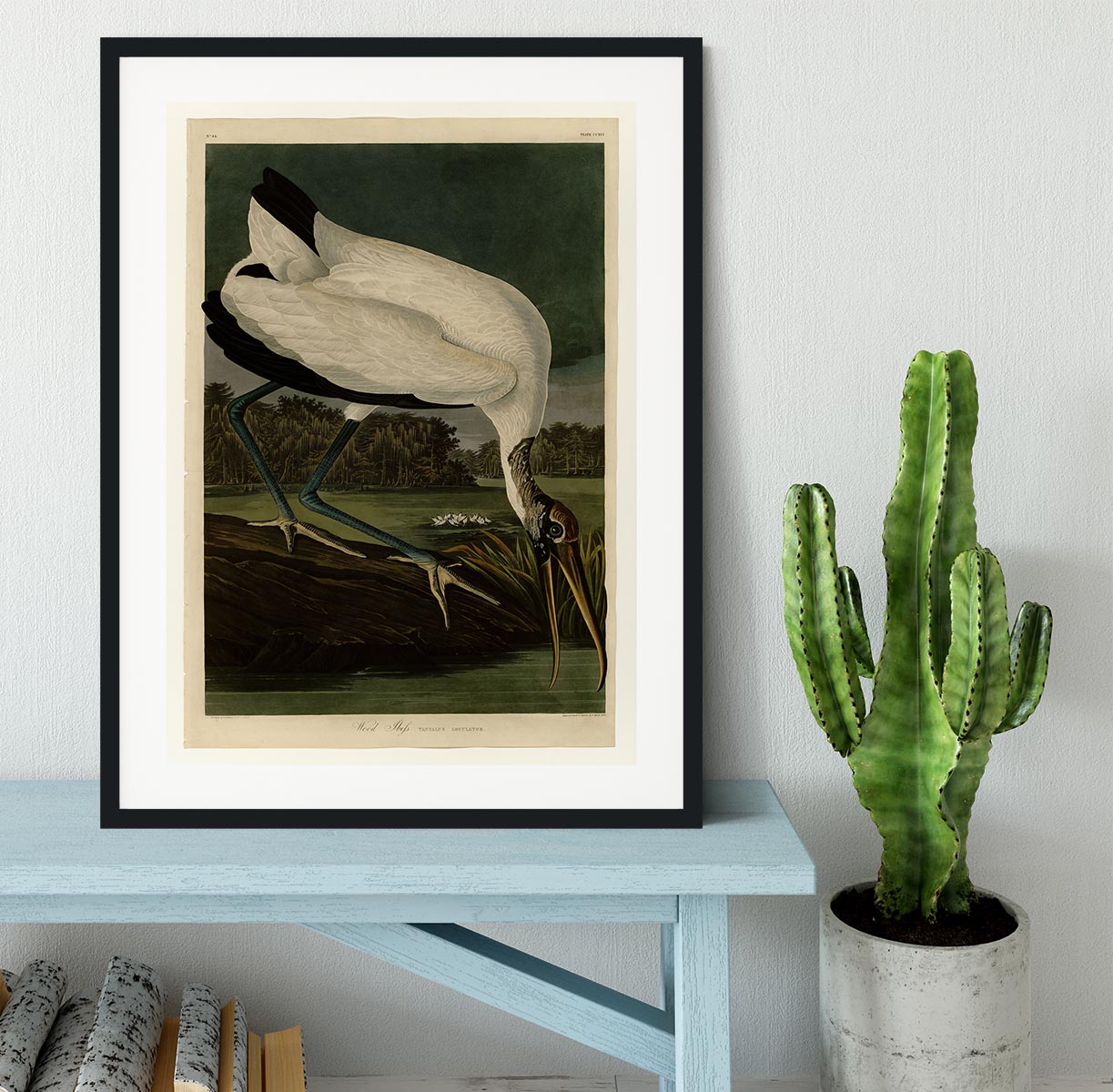 Wood Ibiss by Audubon Framed Print - Canvas Art Rocks - 1