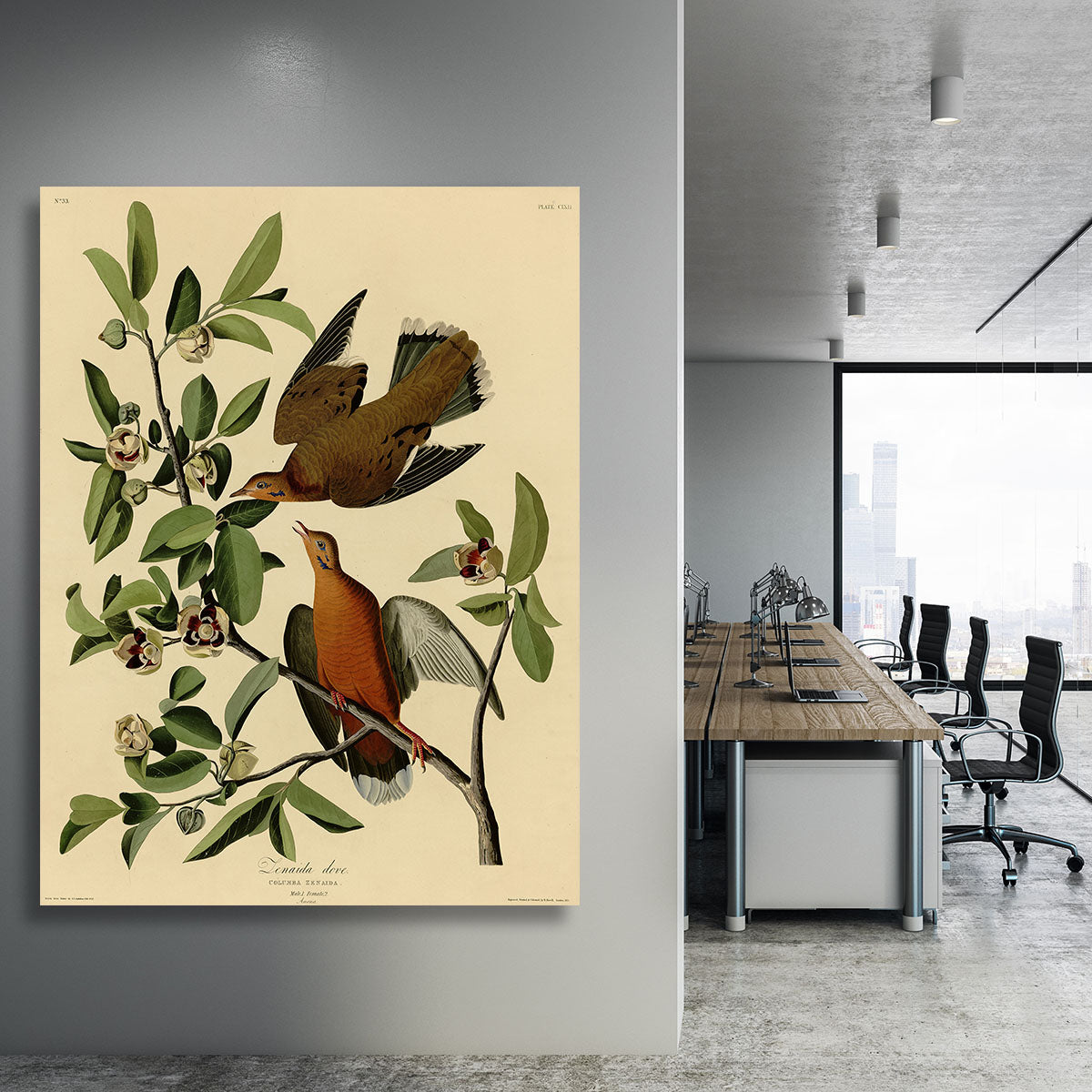 Zenaida Doves by Audubon Canvas Print or Poster - Canvas Art Rocks - 3