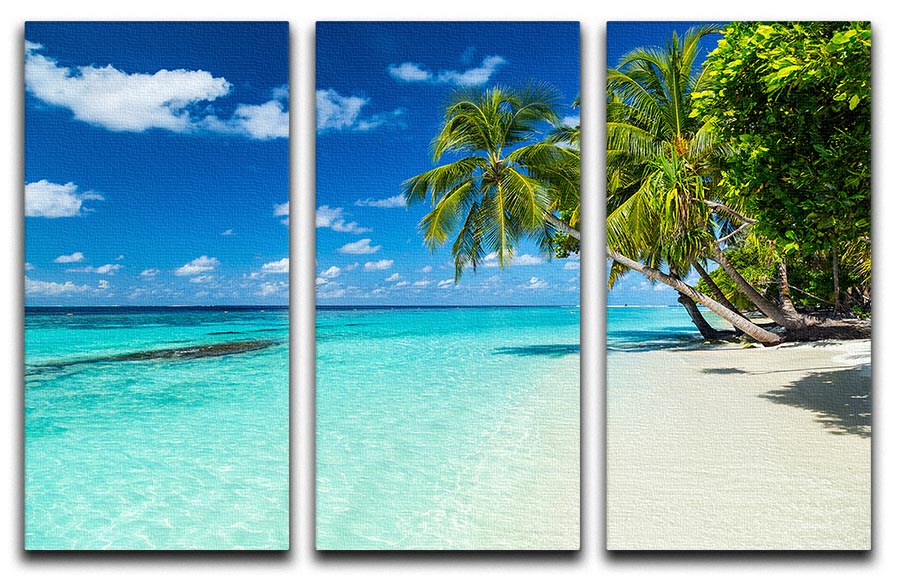 coco palms on paradise beach 3 Split Panel Canvas Print - Canvas Art Rocks - 1