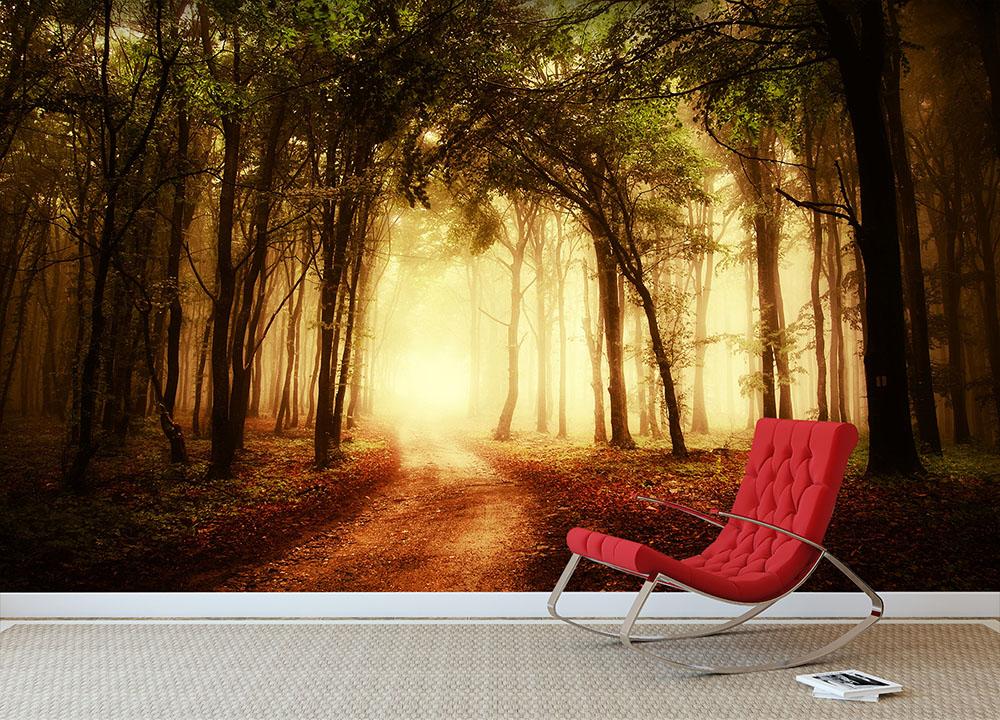 golden forest at autumn Wall Mural Wallpaper - Canvas Art Rocks - 2