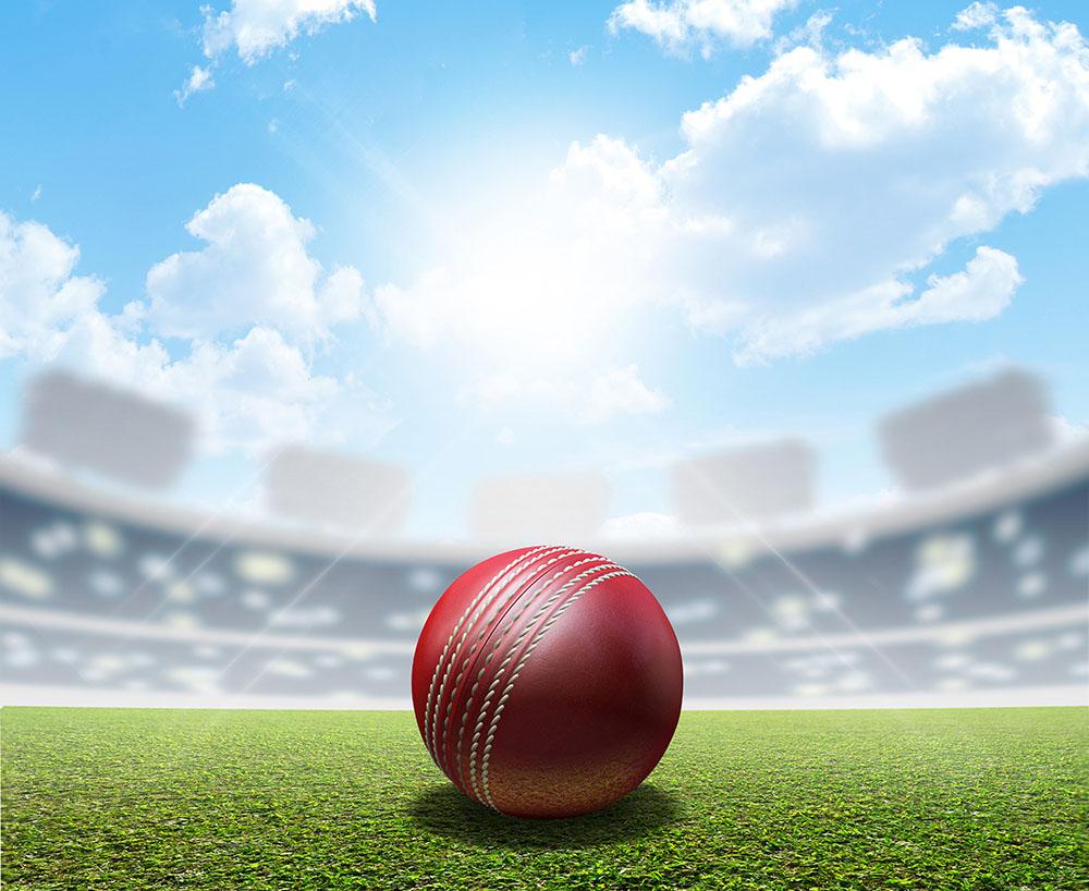 red leather cricket ball on green grass Wall Mural Wallpaper - Canvas Art Rocks - 1