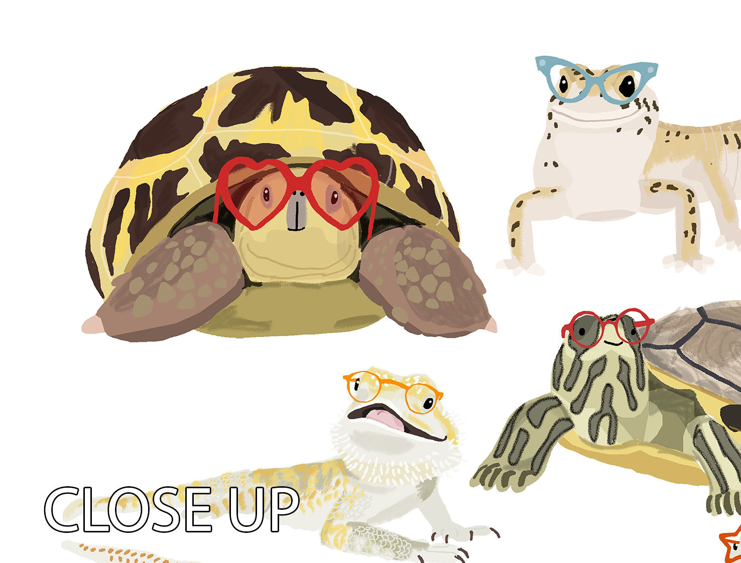 12 Reptiles In Glasses 3 Split Panel Canvas Print - 1x - 3