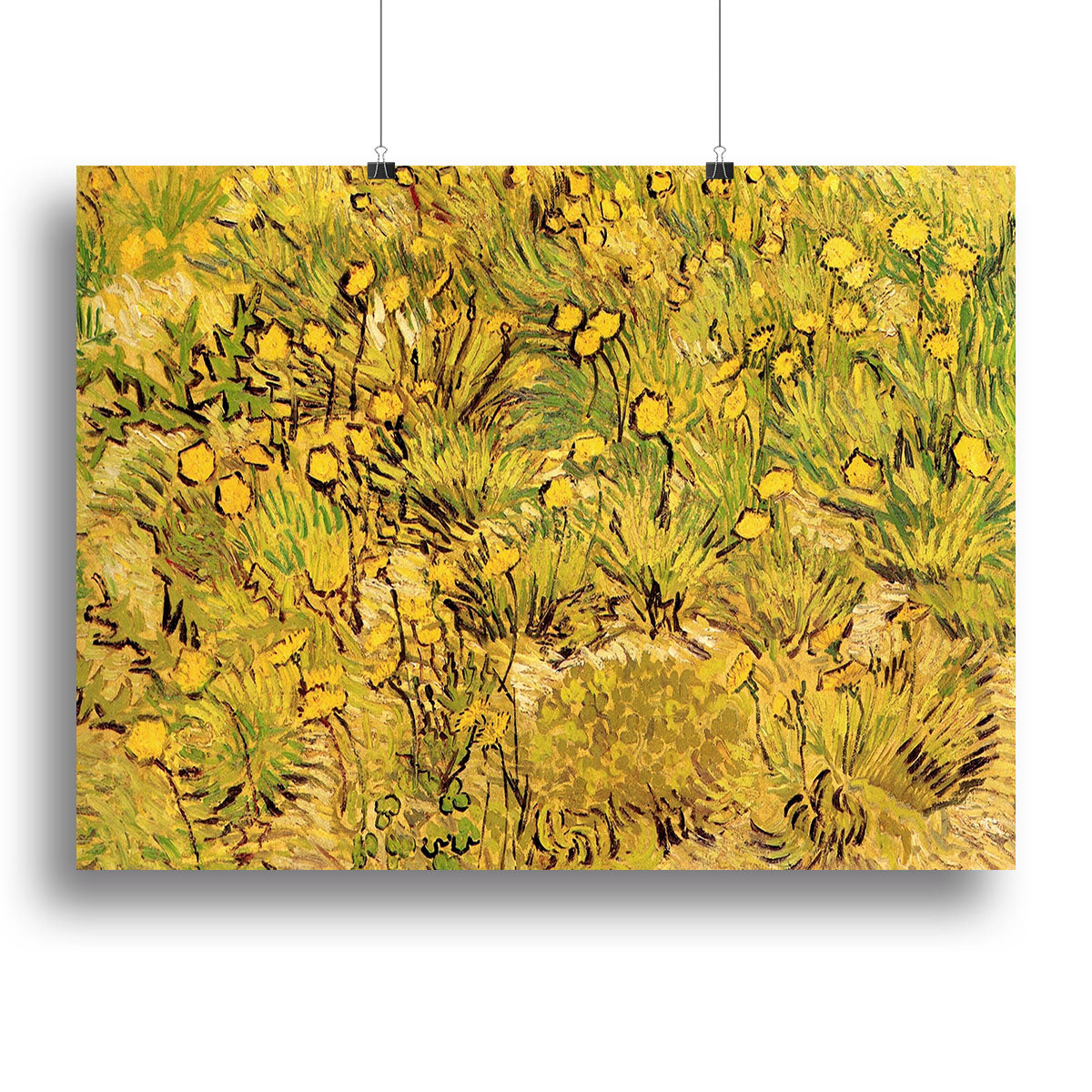 A Field of Yellow Flowers by Van Gogh Poster - Unframed