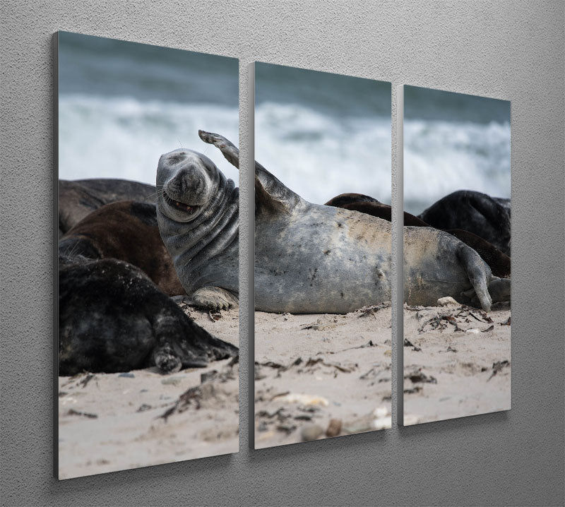 A Headache 3 Split Panel Canvas Print - 1x - 2