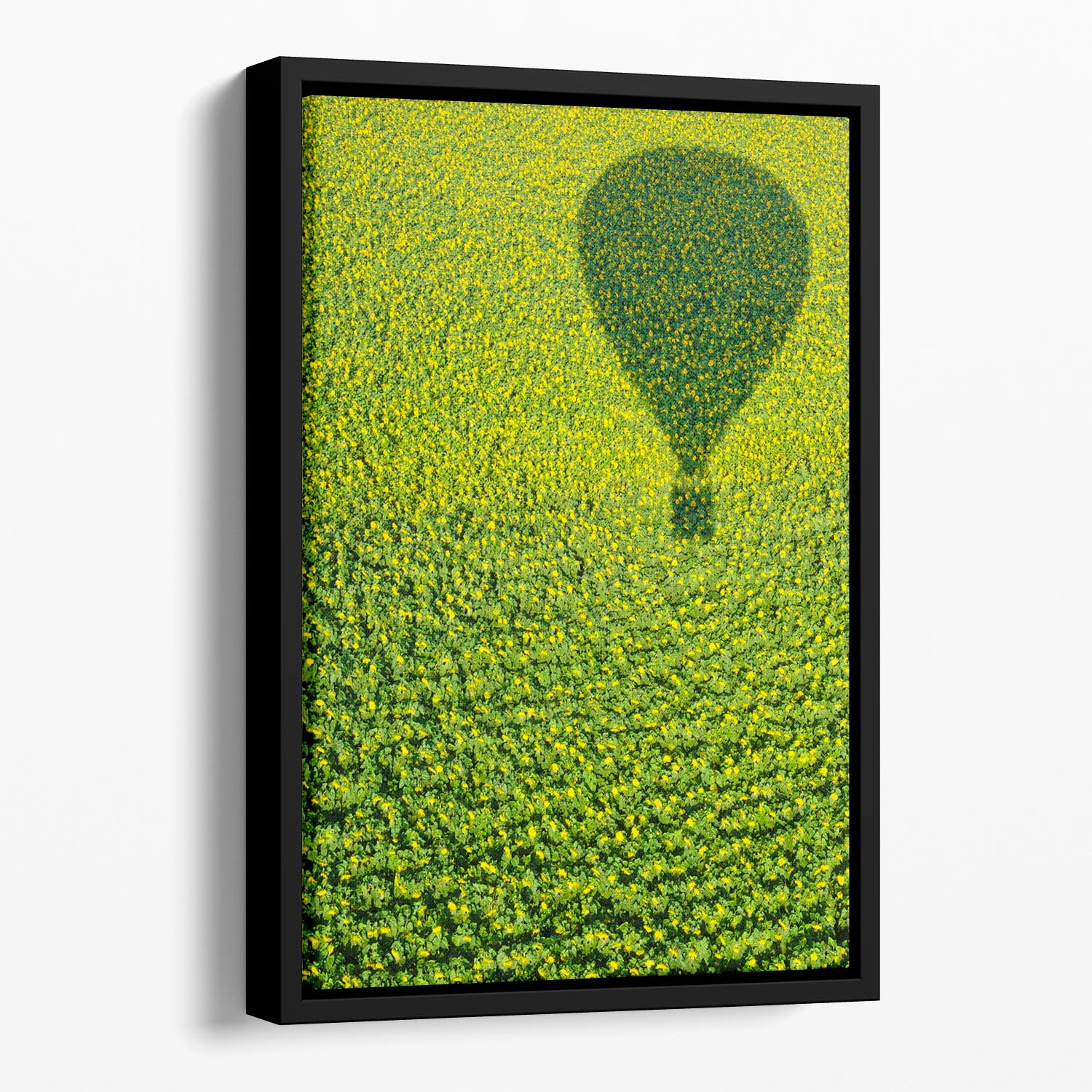 A Hundred Million Suns Floating Framed Canvas - 1x - 1