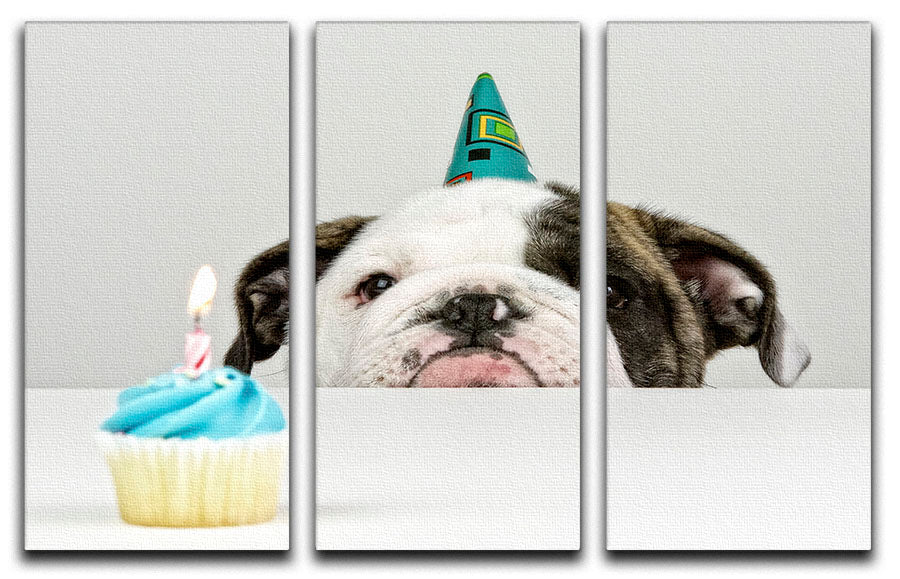 A Little Birthday 3 Split Panel Canvas Print - 1x - 1