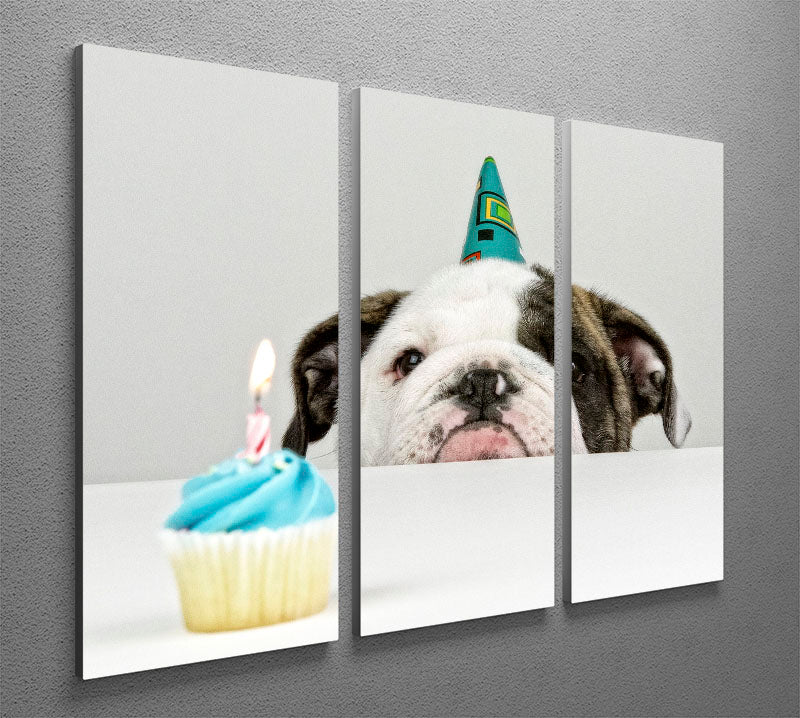 A Little Birthday 3 Split Panel Canvas Print - 1x - 2