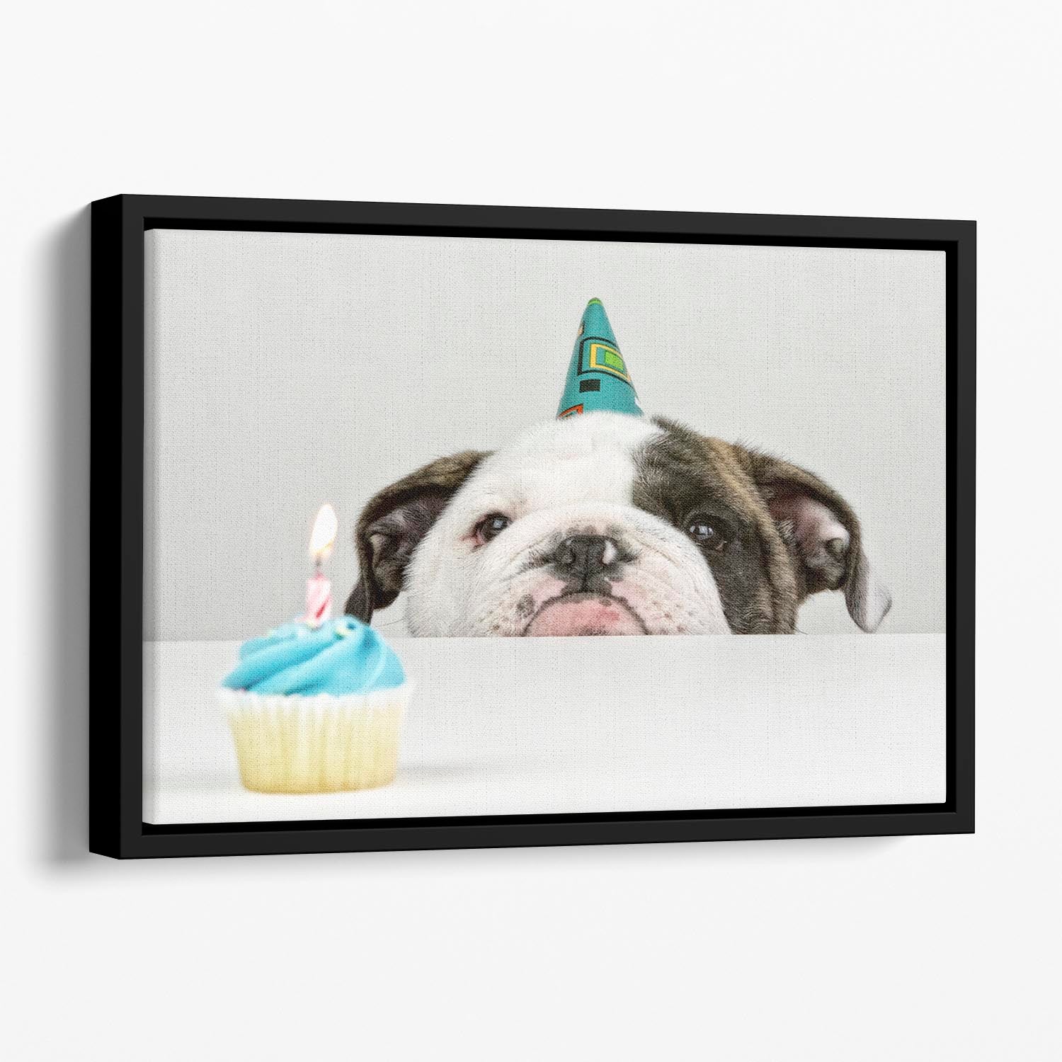 A Little Birthday Floating Framed Canvas - 1x - 1