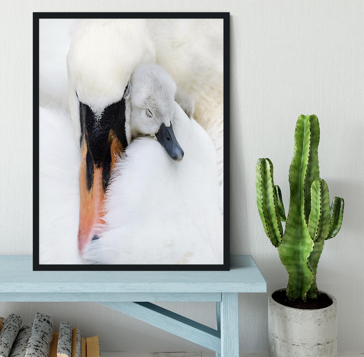 A Mother Swan Framed Print - 1x - 2