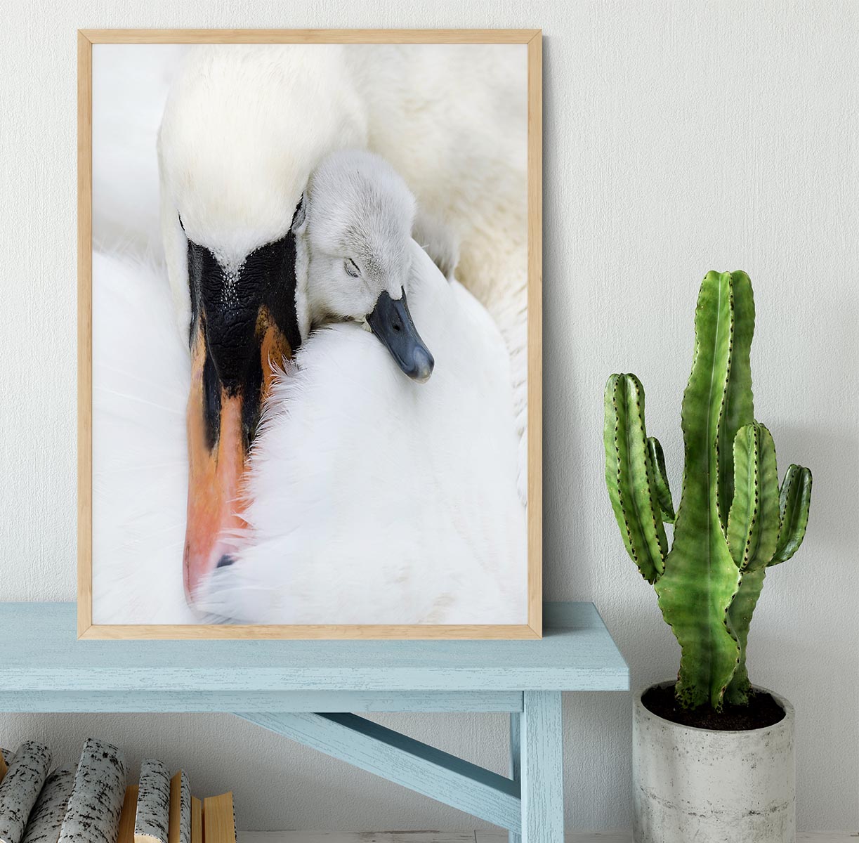 A Mother Swan Framed Print - 1x - 4