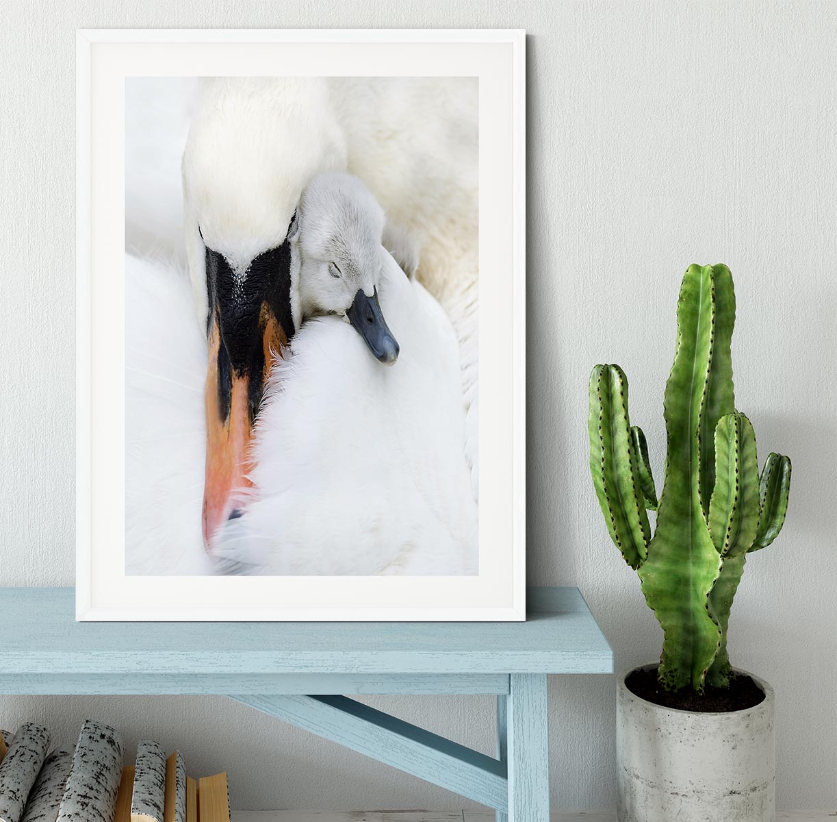 A Mother Swan Framed Print - 1x - 5