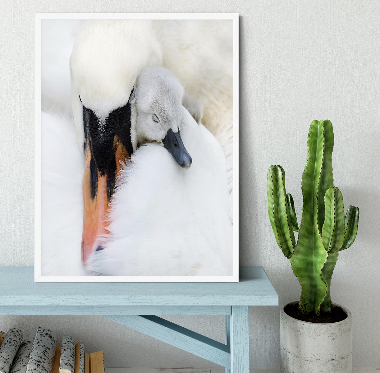 A Mother Swan Framed Print - 1x -6