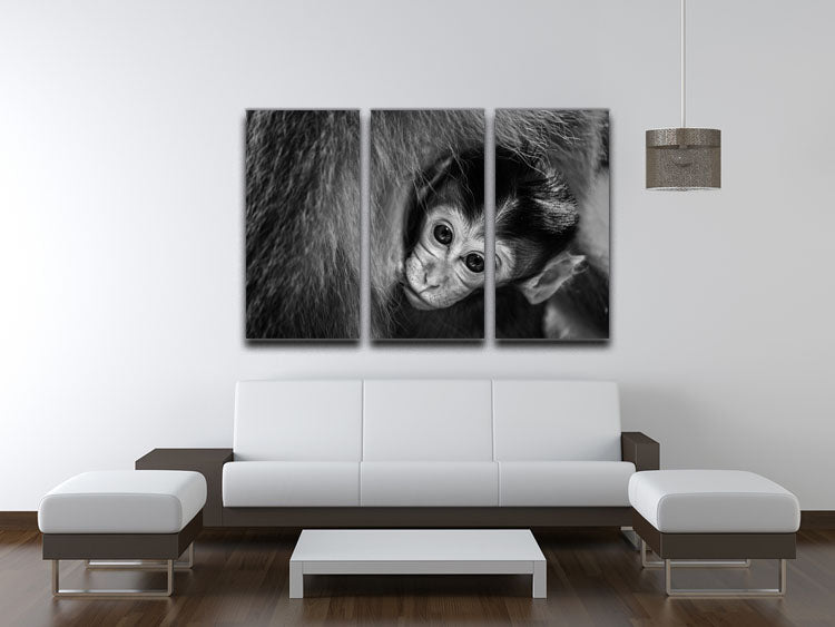 A Mothers Love 3 Split Panel Canvas Print - 1x - 3