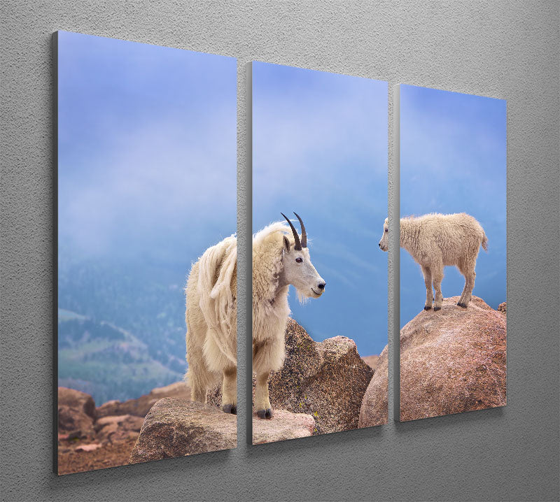 A Mothers Smile 3 Split Panel Canvas Print - 1x - 2