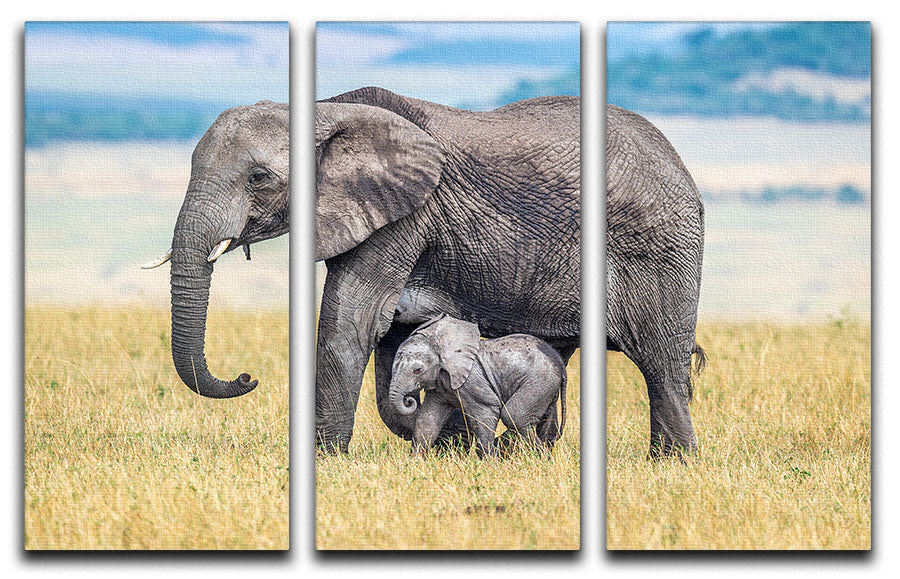 A wee one 3 Split Panel Canvas Print - 1x - 1