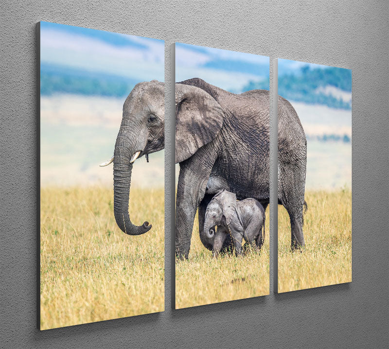 A wee one 3 Split Panel Canvas Print - 1x - 2