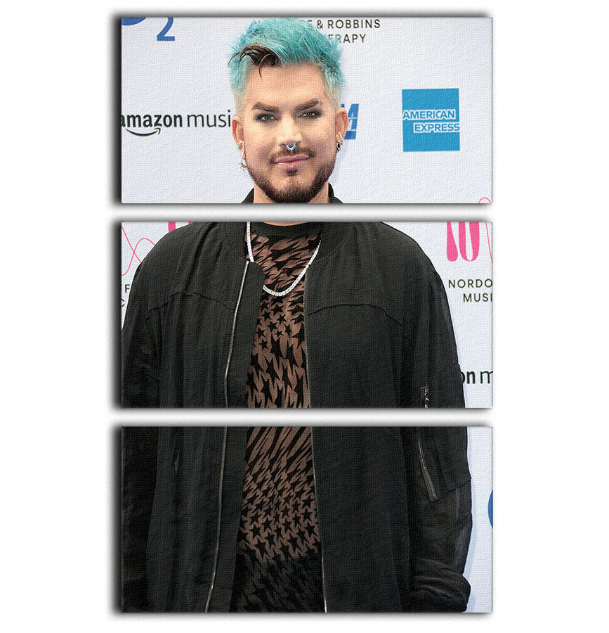 Adam Lambert 3 Split Panel Canvas Print - Canvas Art Rocks - 1