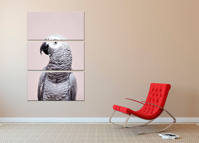 African Grey 3 Split Panel Canvas Print - 1x - 2