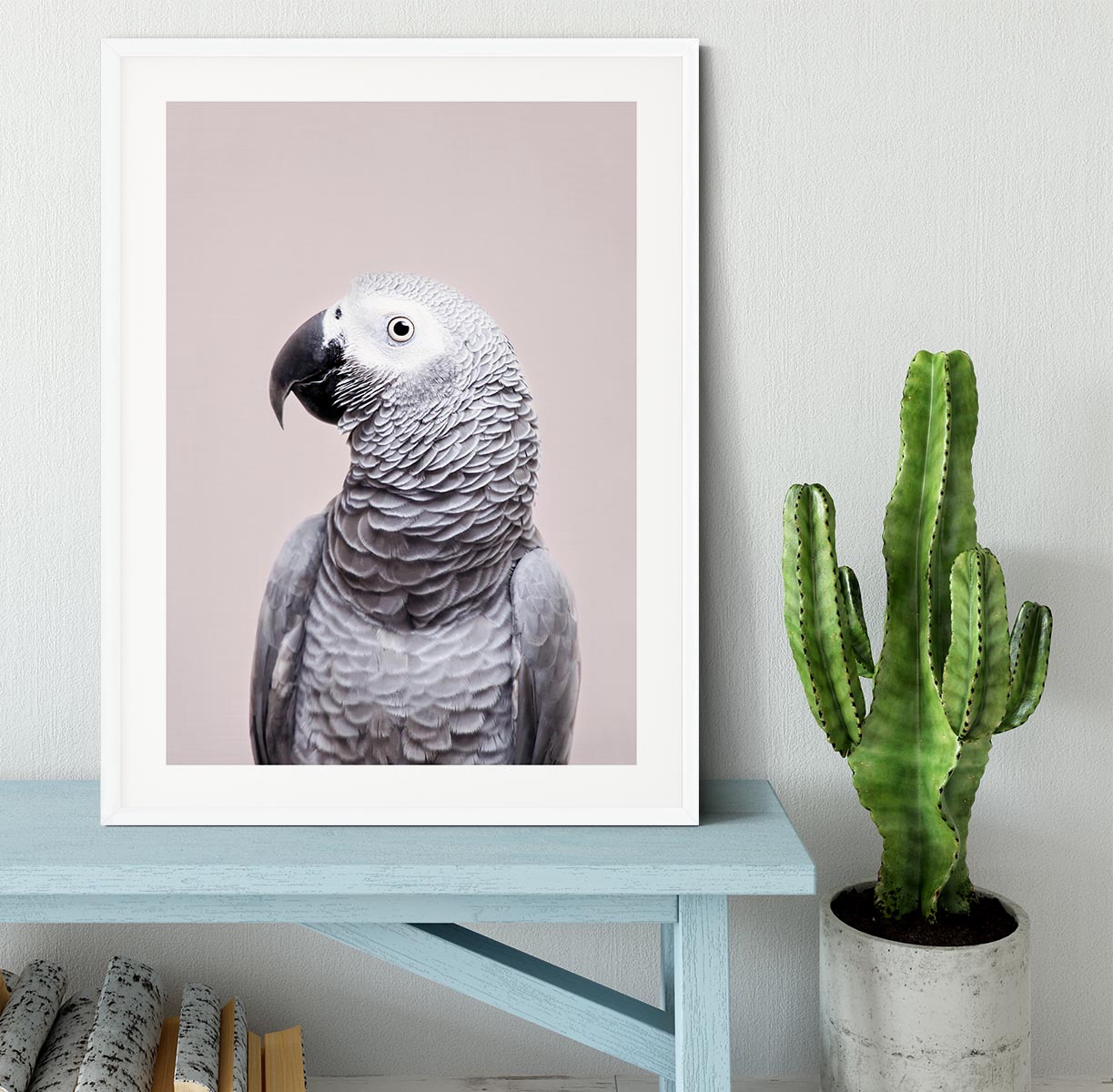 African Grey Framed Print - 1x - 5