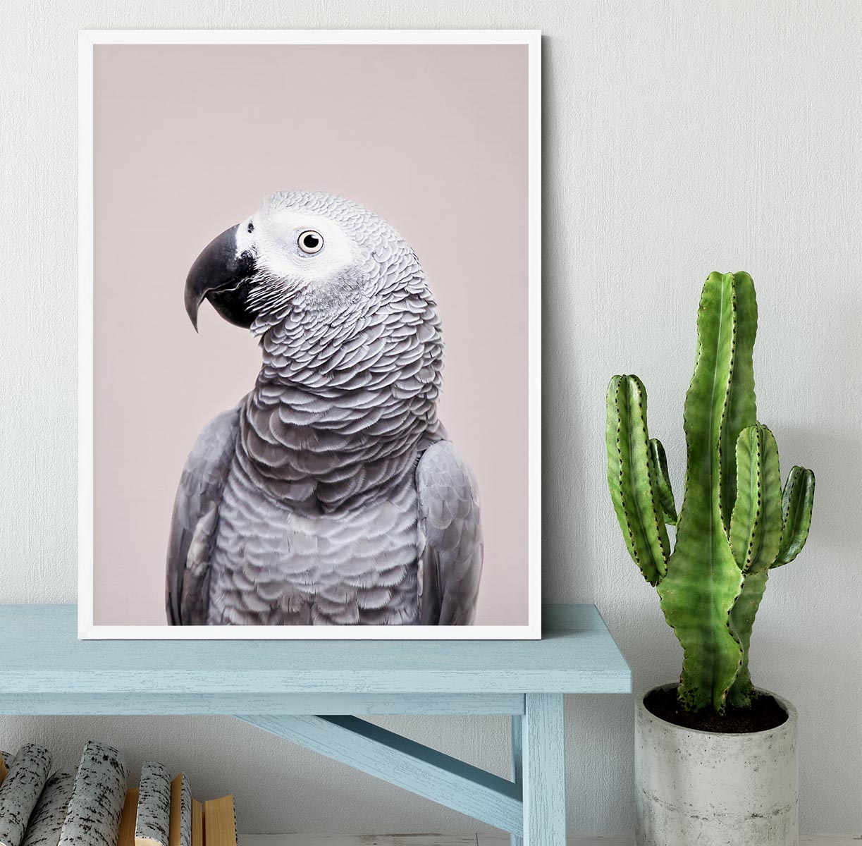 African Grey Framed Print - 1x -6