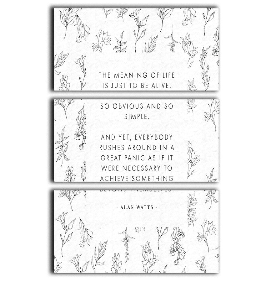 Alan Watts 3 Split Panel Canvas Print - Canvas Art Rocks - 1