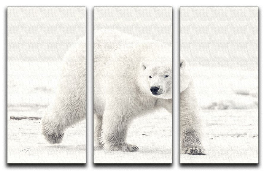 Alaskan king 3 Split Panel Canvas Print - 1x - 1