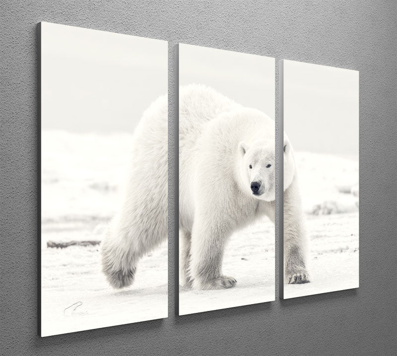 Alaskan king 3 Split Panel Canvas Print - 1x - 2