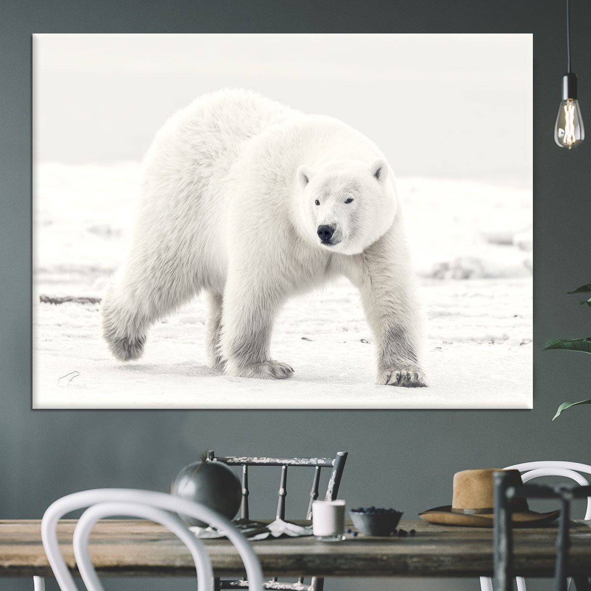 Alaskan king Canvas Print or Poster - 1x - 3