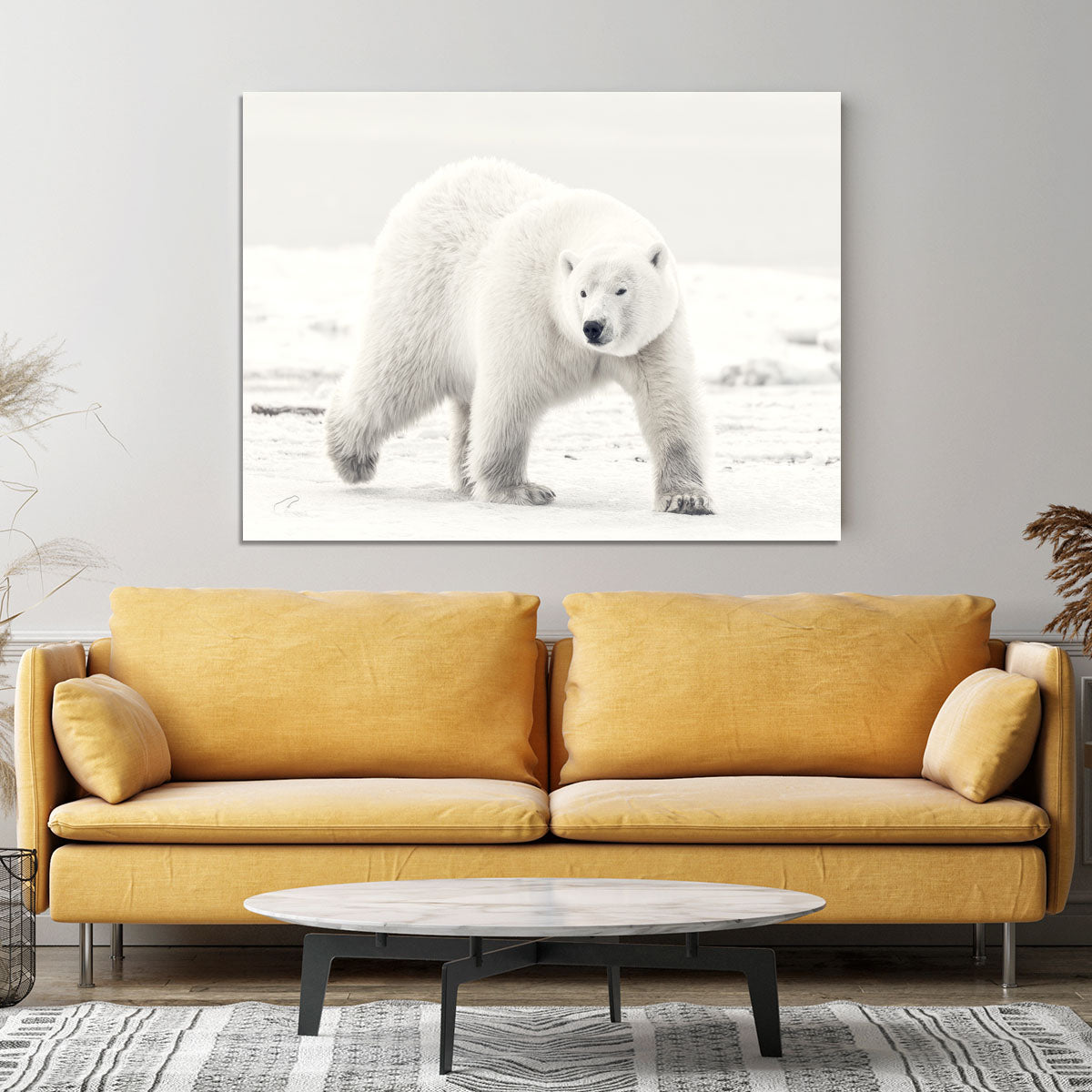 Alaskan king Canvas Print or Poster - 1x - 4