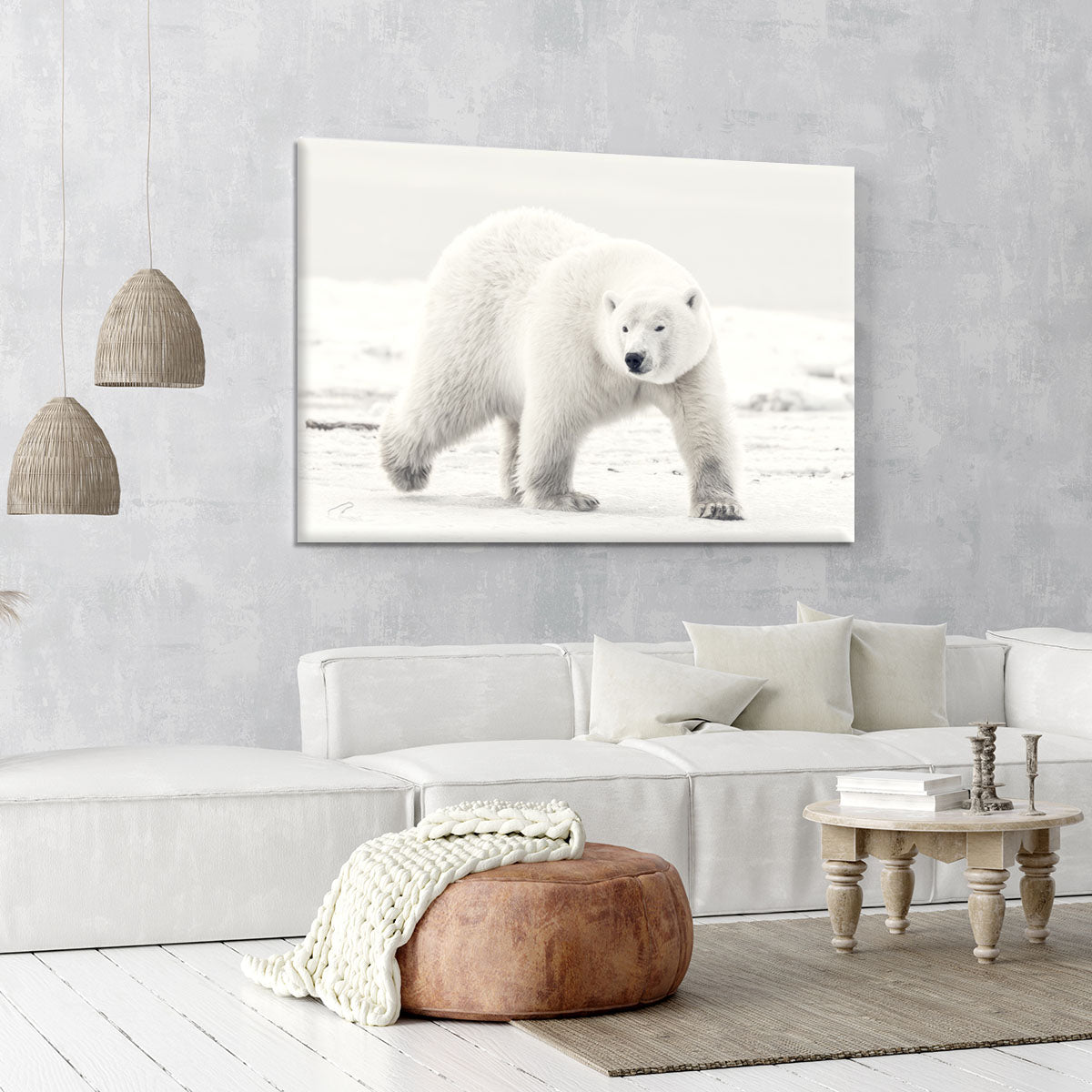 Alaskan king Canvas Print or Poster - 1x - 6