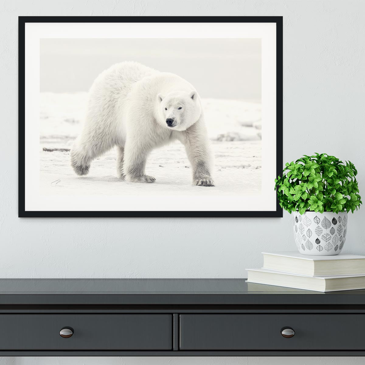 Alaskan king Framed Print - 1x - 1