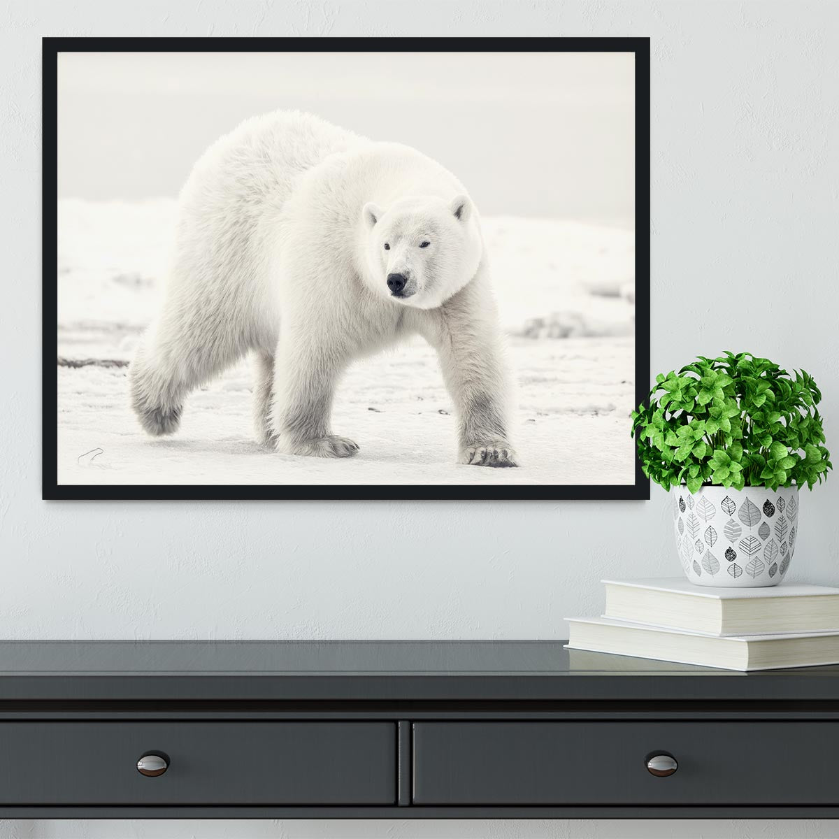 Alaskan king Framed Print - 1x - 2