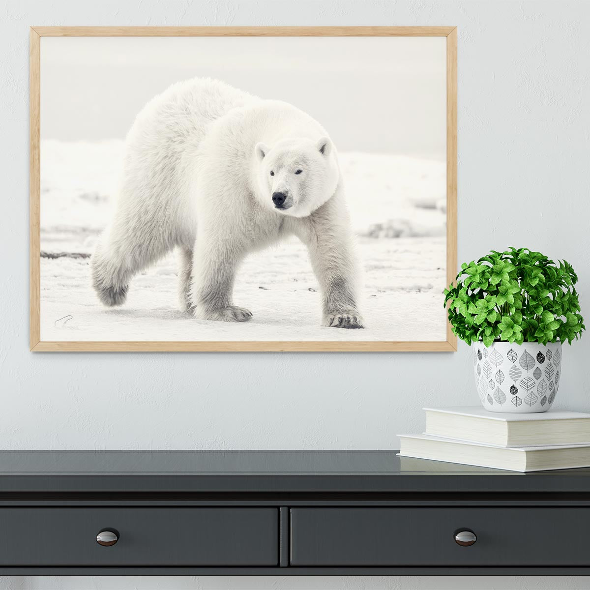 Alaskan king Framed Print - 1x - 4