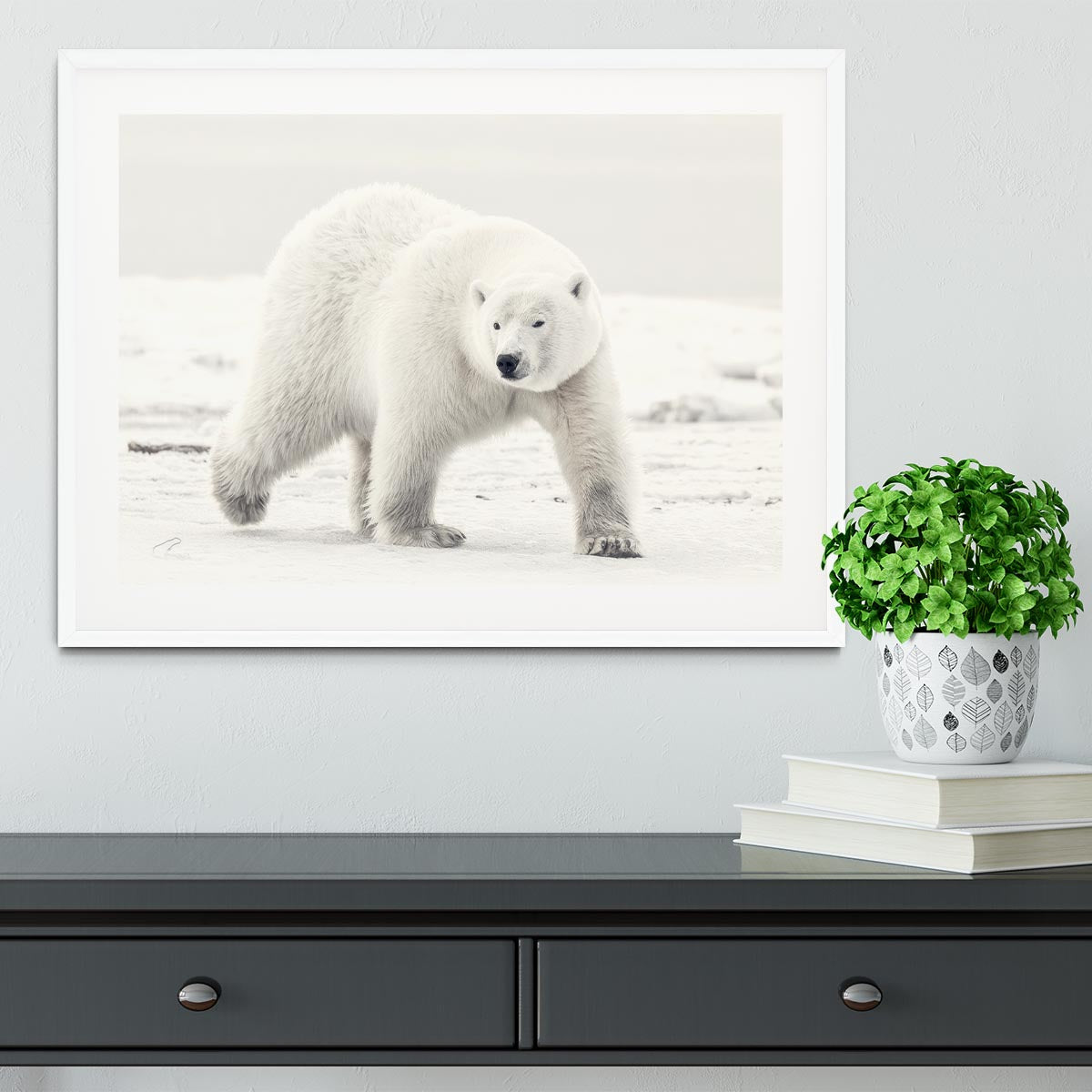 Alaskan king Framed Print - 1x - 5