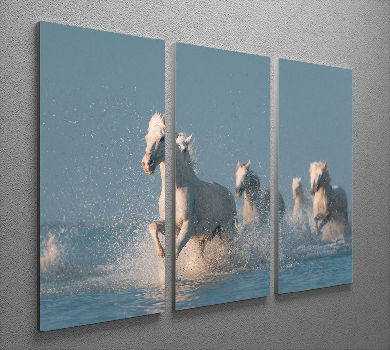 Angels of Camargue 3 Split Panel Canvas Print - 1x - 2