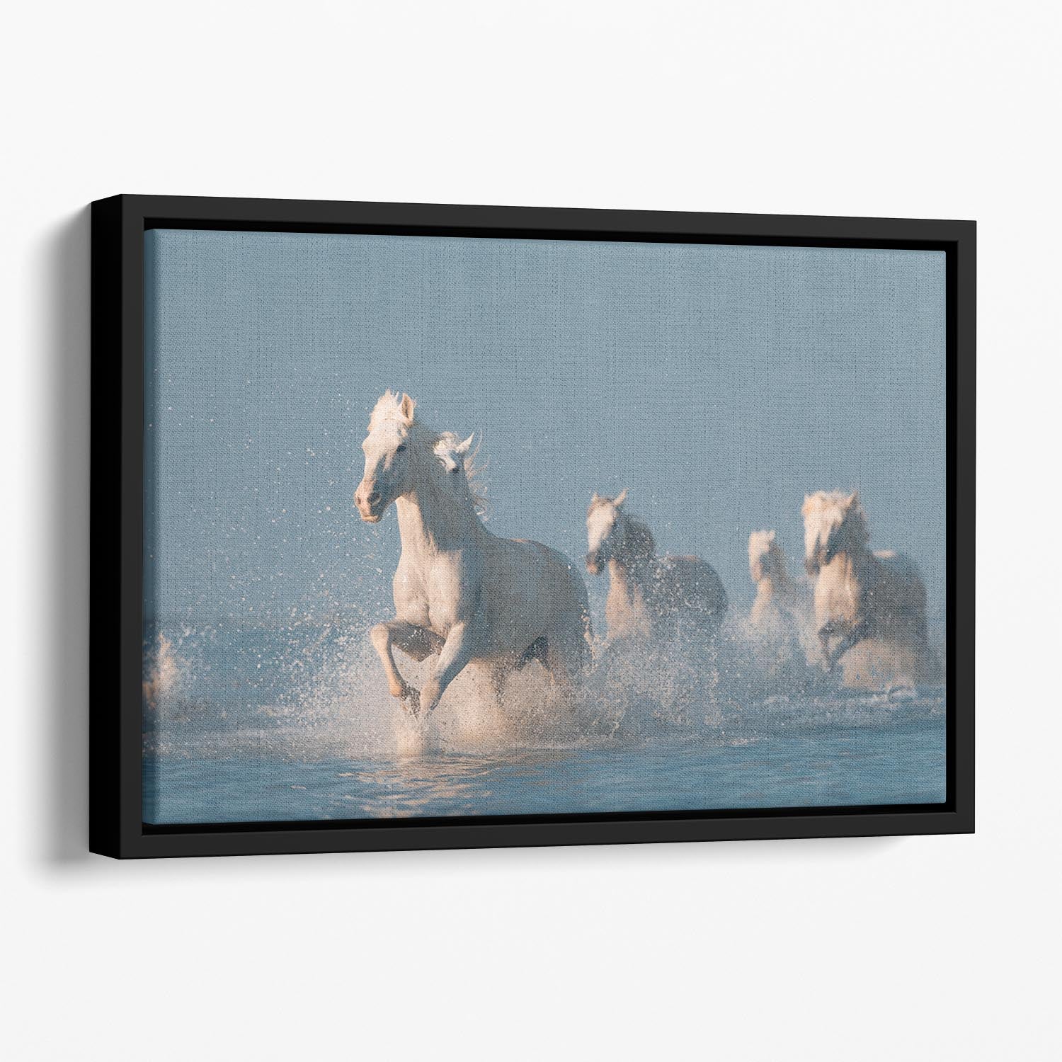 Angels of Camargue Floating Framed Canvas - 1x - 1