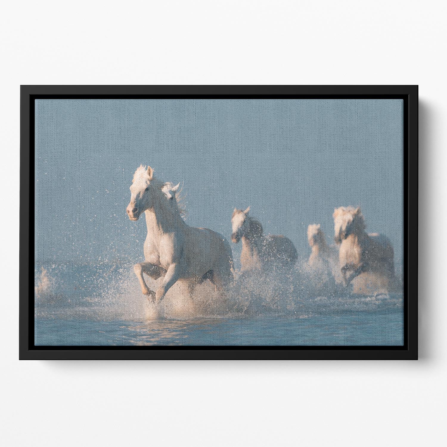 Angels of Camargue Floating Framed Canvas - 1x - 2