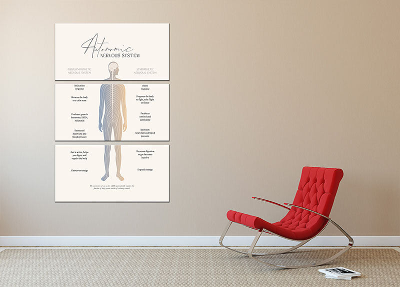 Autonomic Nervous System 3 Split Panel Canvas Print - Canvas Art Rocks - 2