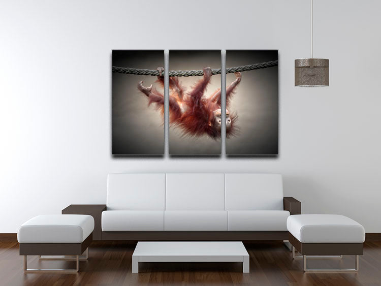 Baby Monkey 3 Split Panel Canvas Print - 1x - 3