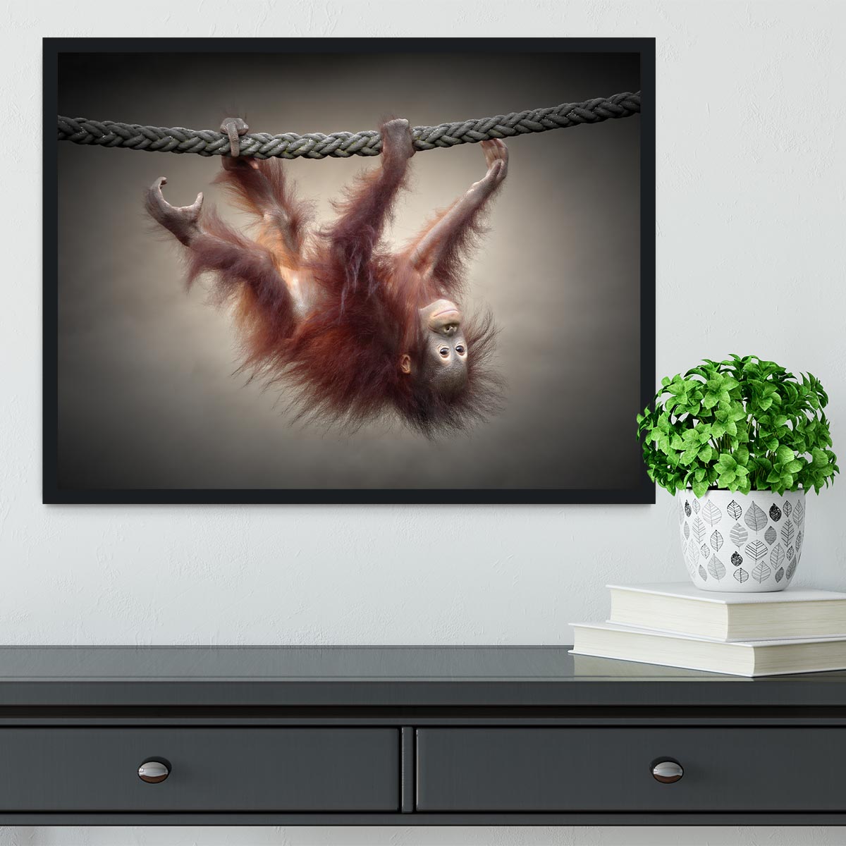 Baby Monkey Framed Print - 1x - 2