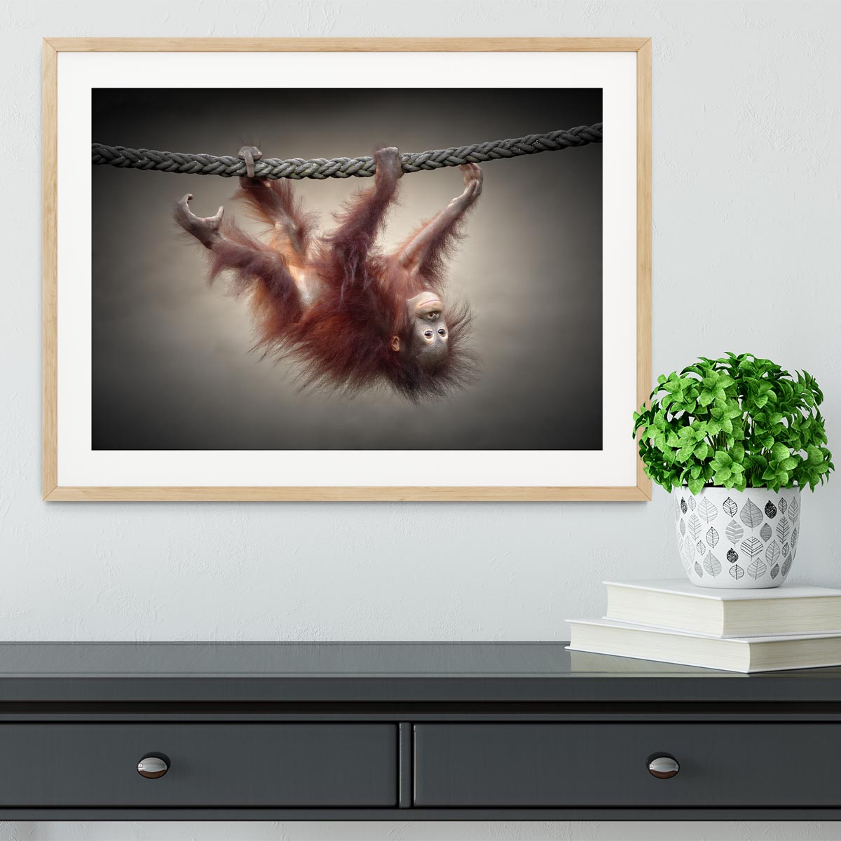 Baby Monkey Framed Print - 1x - 3