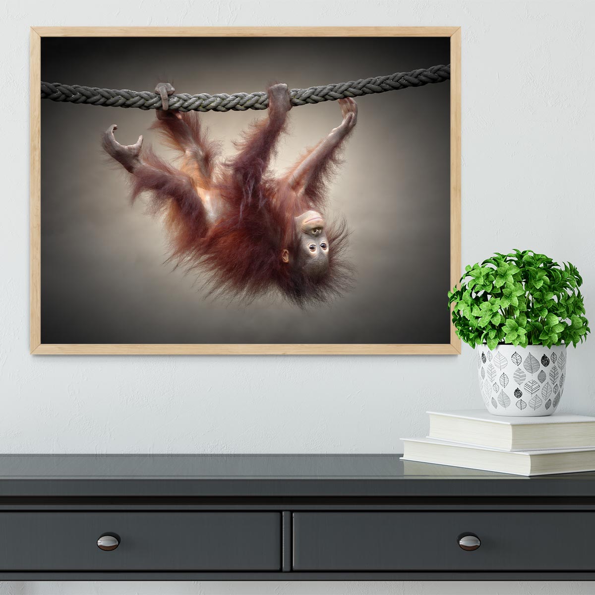 Baby Monkey Framed Print - 1x - 4