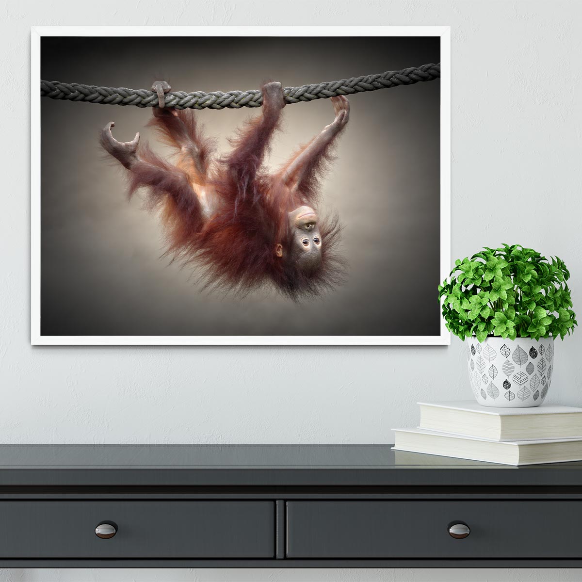 Baby Monkey Framed Print - 1x -6