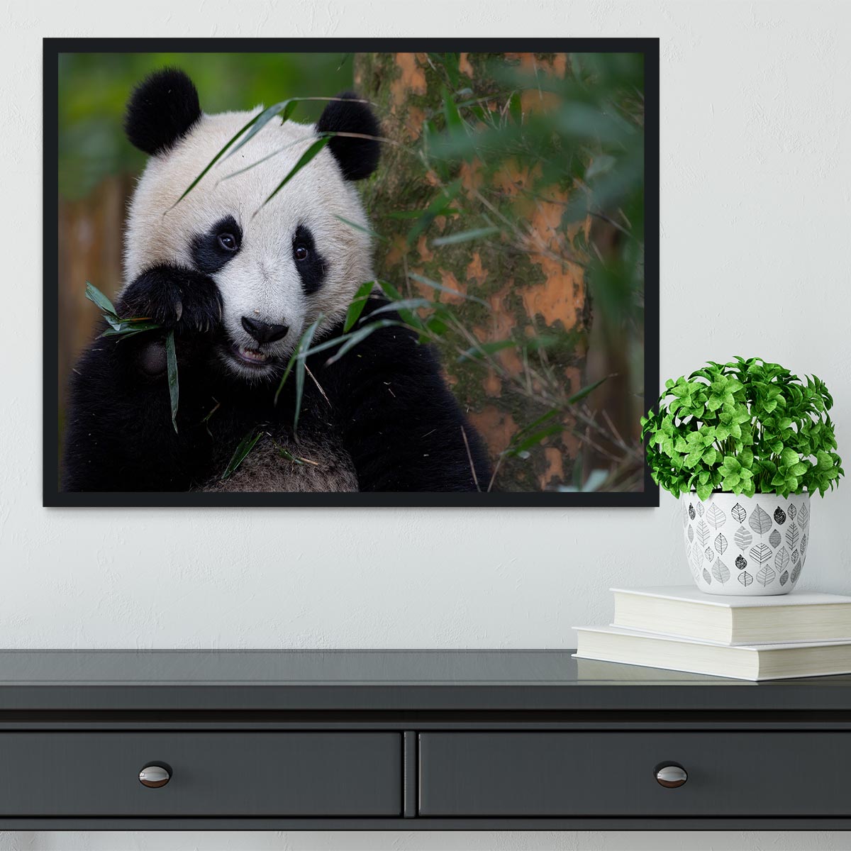 Bamboo Time Framed Print - 1x - 2