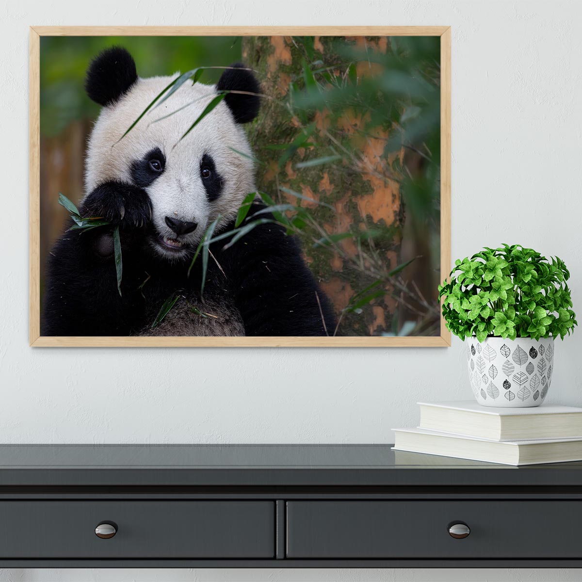 Bamboo Time Framed Print - 1x - 4