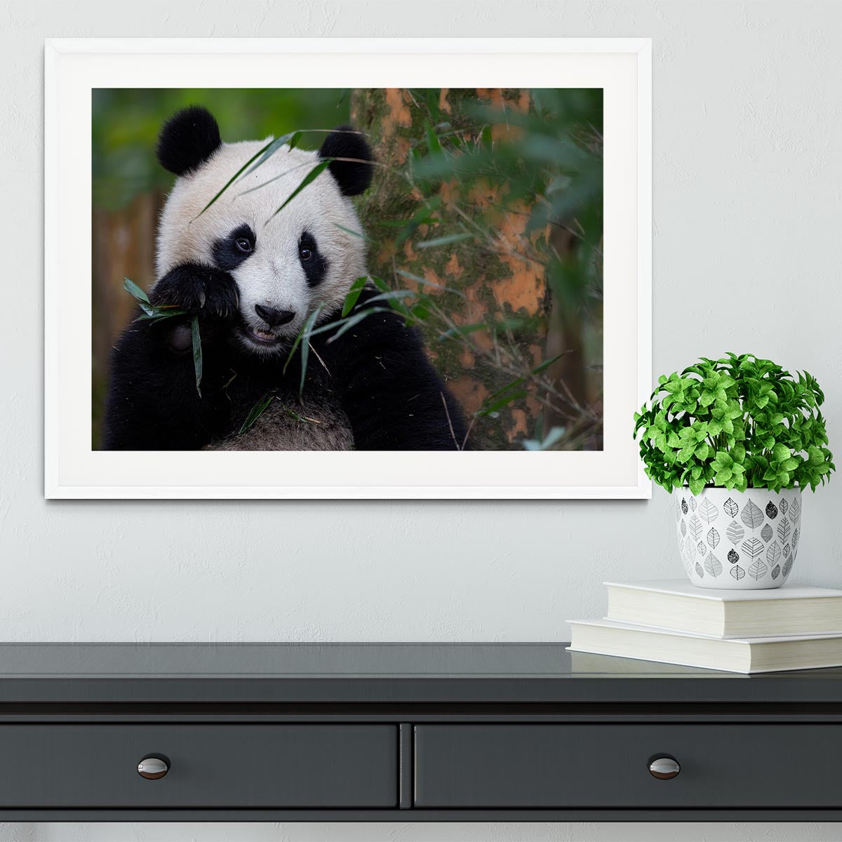 Bamboo Time Framed Print - 1x - 5